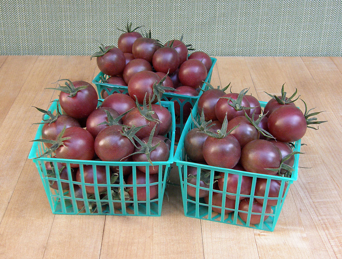 Heirloom Tomato - Black Cherry Organic