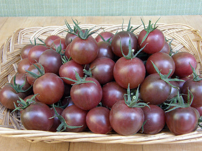 Heirloom Tomato - Black Cherry Organic