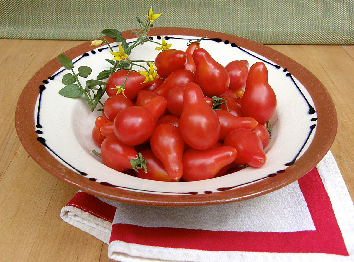 Heirloom Cherry Tomato - Little Red Pear Organic