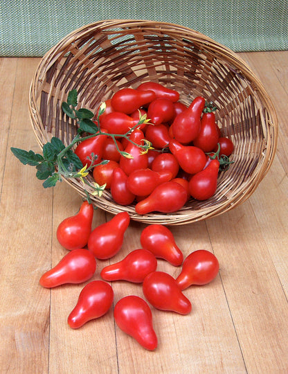 Heirloom Cherry Tomato - Little Red Pear Organic