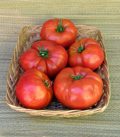 Heirloom Tomato - Brandywine Organic