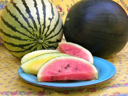 Heirloom “Icebox” Watermelons - Doll Babies Organic