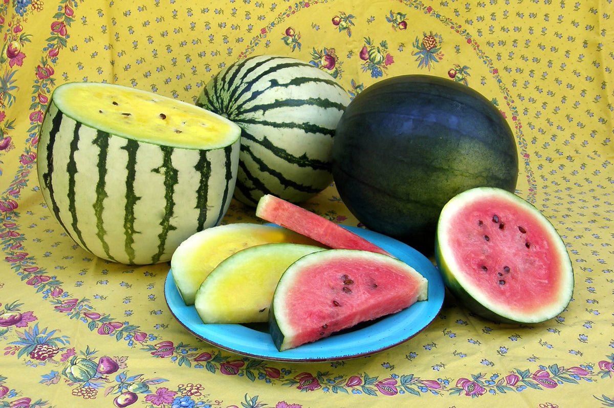 Heirloom “Icebox” Watermelons - Doll Babies Organic