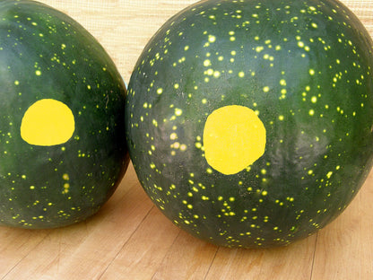 Heirloom Watermelon - Moon & Stars Organic
