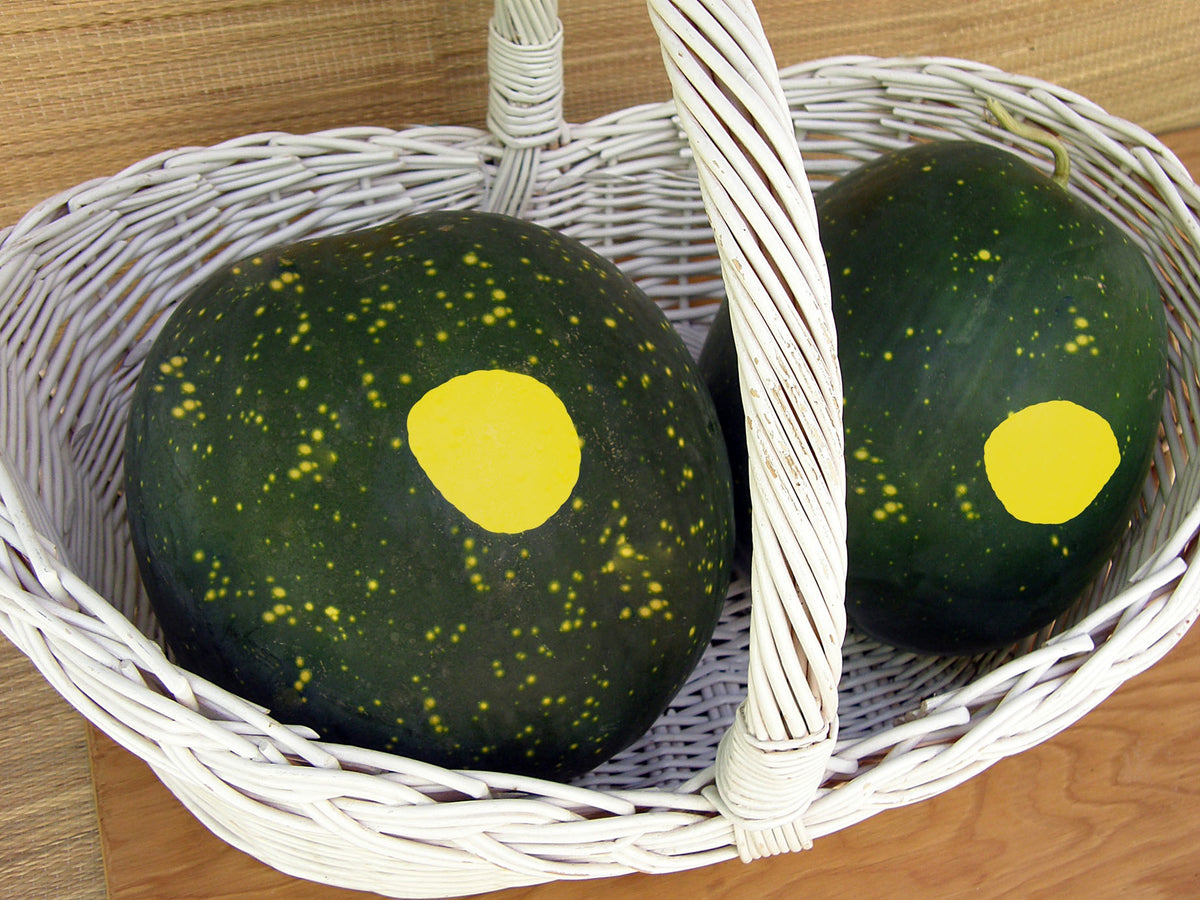 Heirloom Watermelon - Moon & Stars Organic