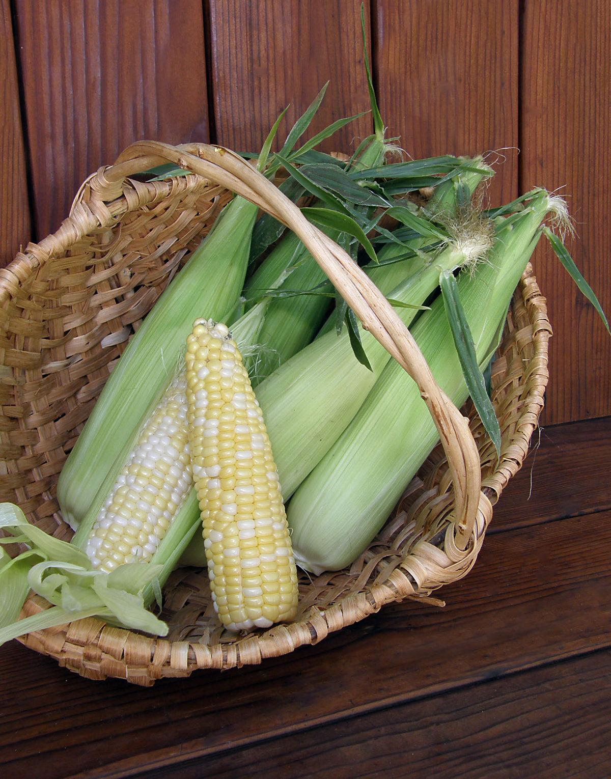 Bicolor Corn - Who Gets Kissed