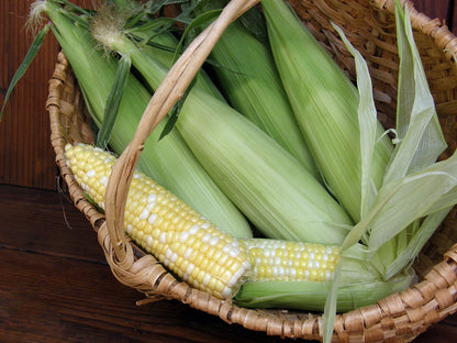 Bicolor Corn - Who Gets Kissed