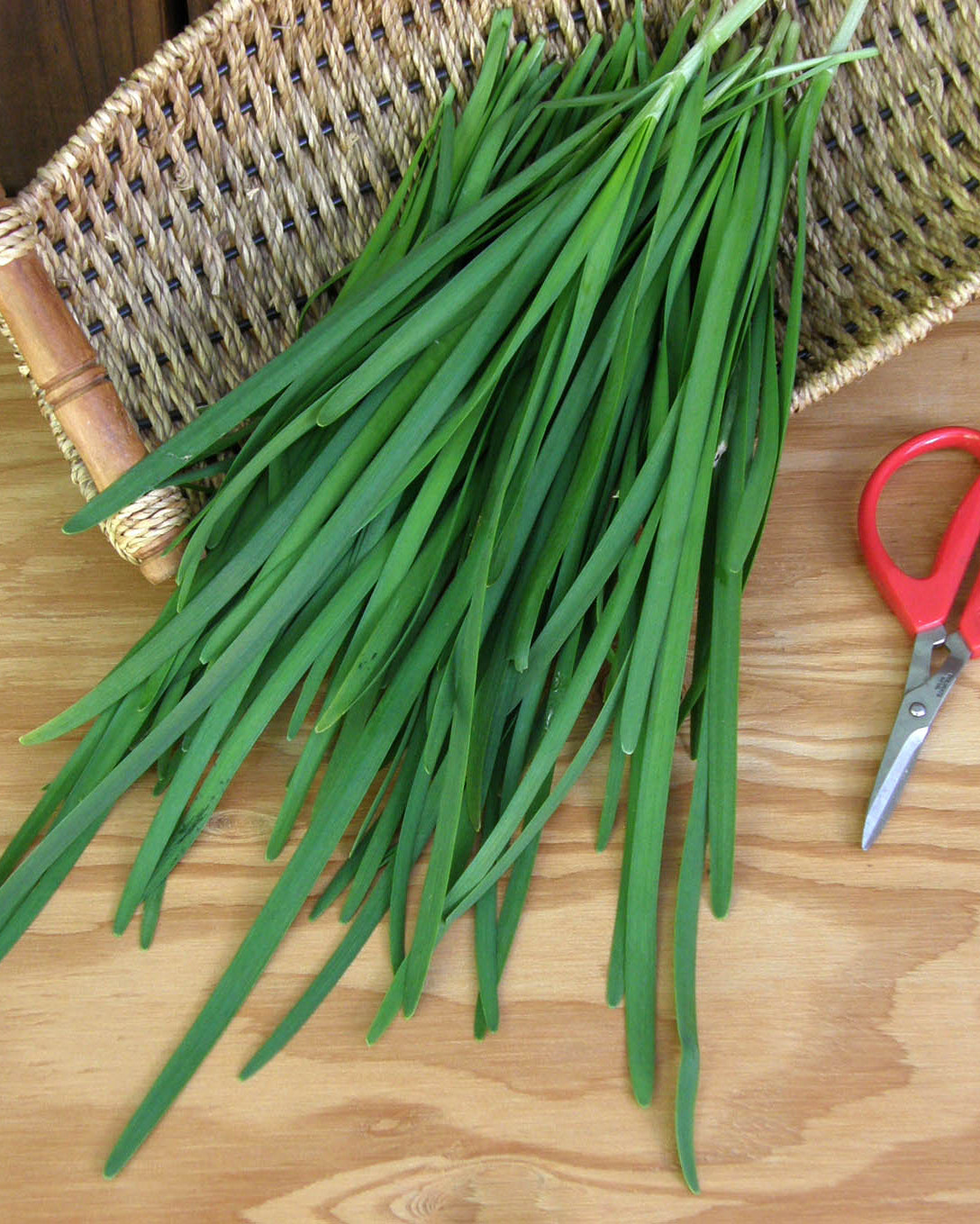 Heirloom Herbs - Garlic Chives Organic