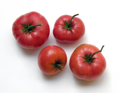 Heirloom Tomato - Brandywine Organic