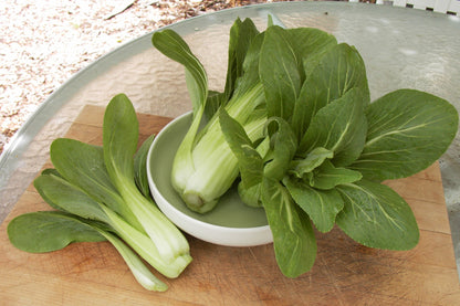 Baby Pak Choi - Green Fortune