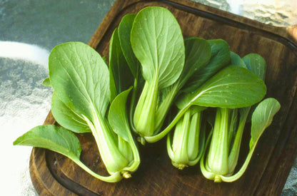 Baby Pak Choi - Green Fortune