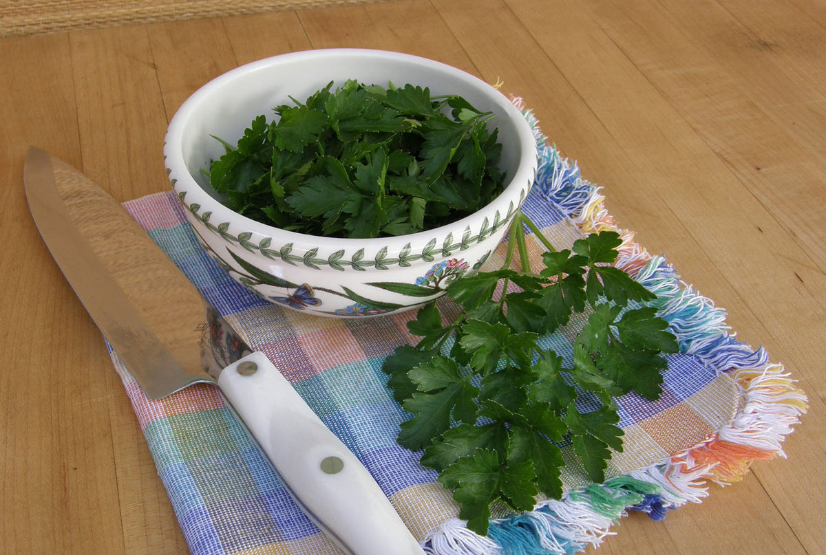 Kitchen Herbs - Italian “Gigante” Parsley