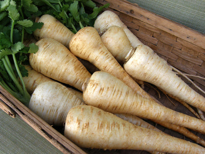 English Parsnips - Savour