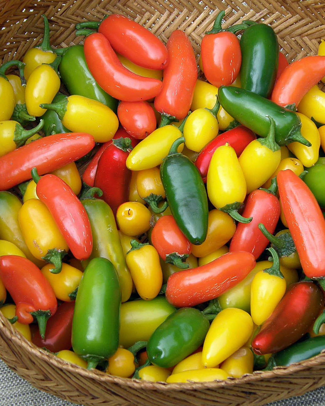 Rainbow Jalapeño Chiles - Spice Trio Organic