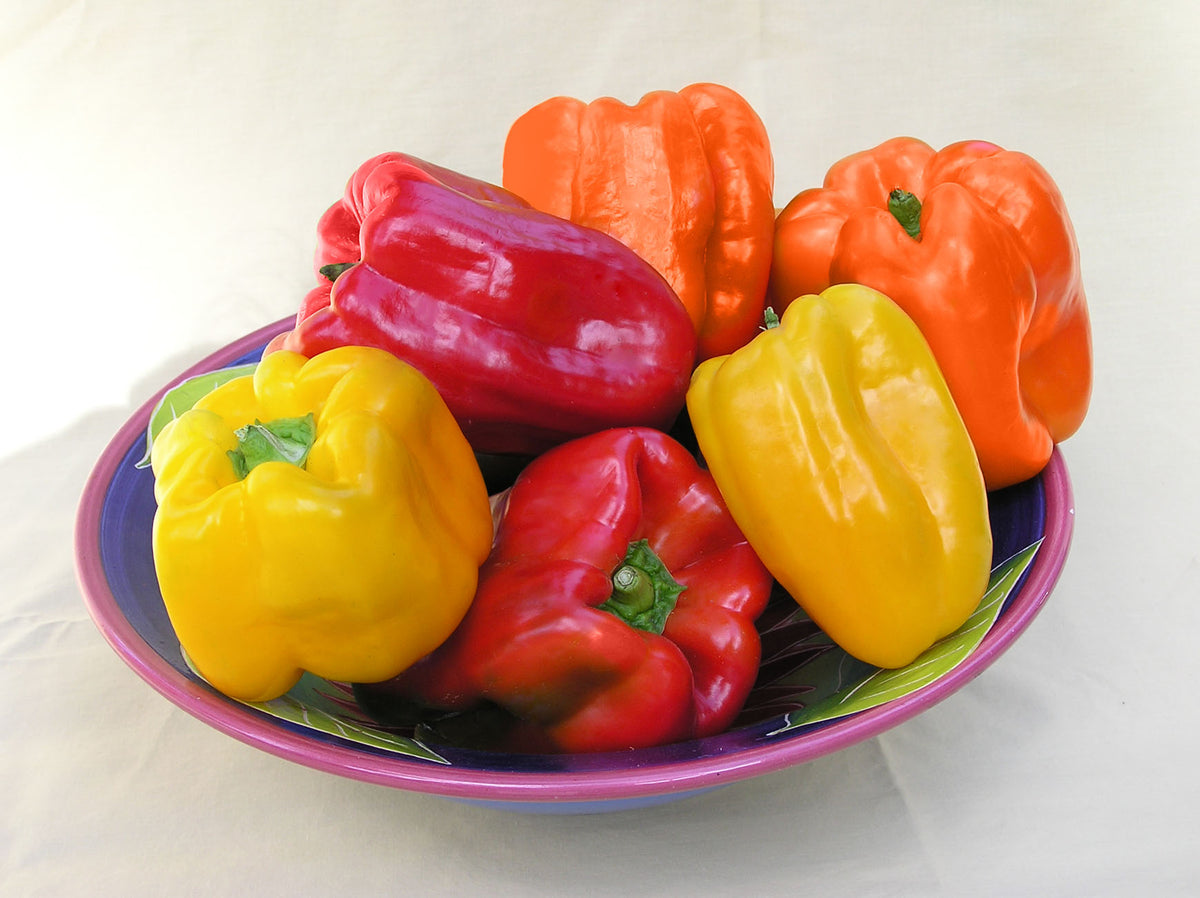Jewel-Toned Bell Peppers - Crimson, Gold & Orange