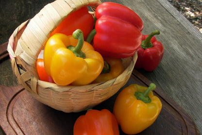 Jewel-Toned Bell Peppers - Crimson, Gold & Orange