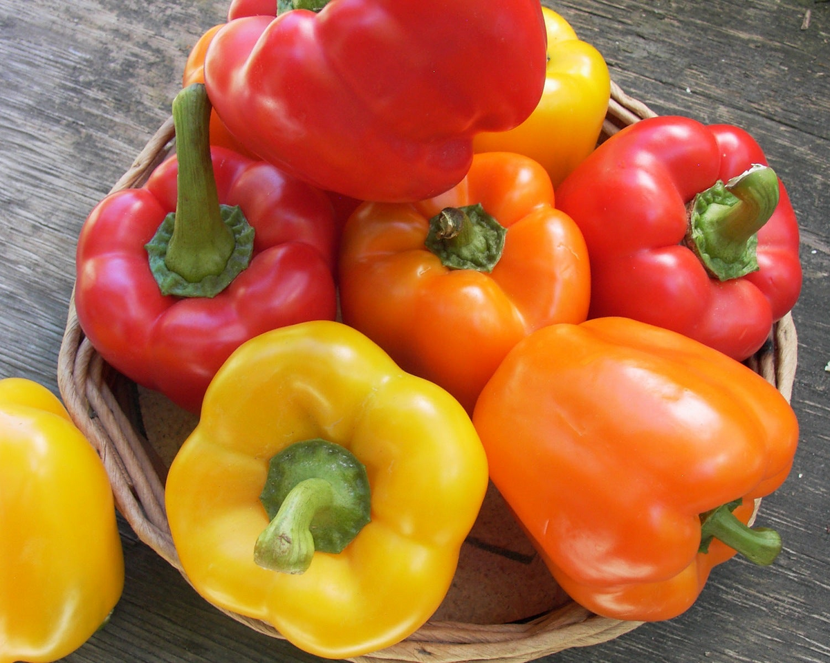 Jewel-Toned Bell Peppers - Crimson, Gold & Orange