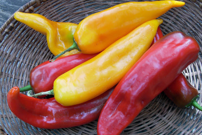 Italian Roasting Peppers - Corno di Toro Mix