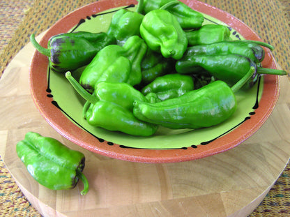 Tapas Peppers - Spanish Padron