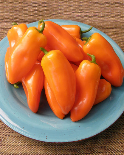 Baby Snack Peppers - Yummy Belles