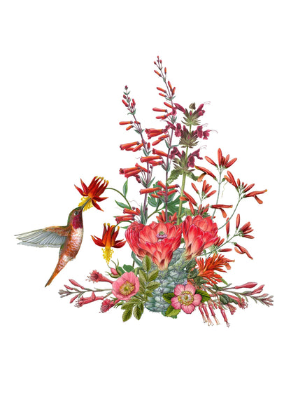 Erin Hunter Pollinator Notecards