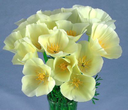 California Poppies - Buttercream