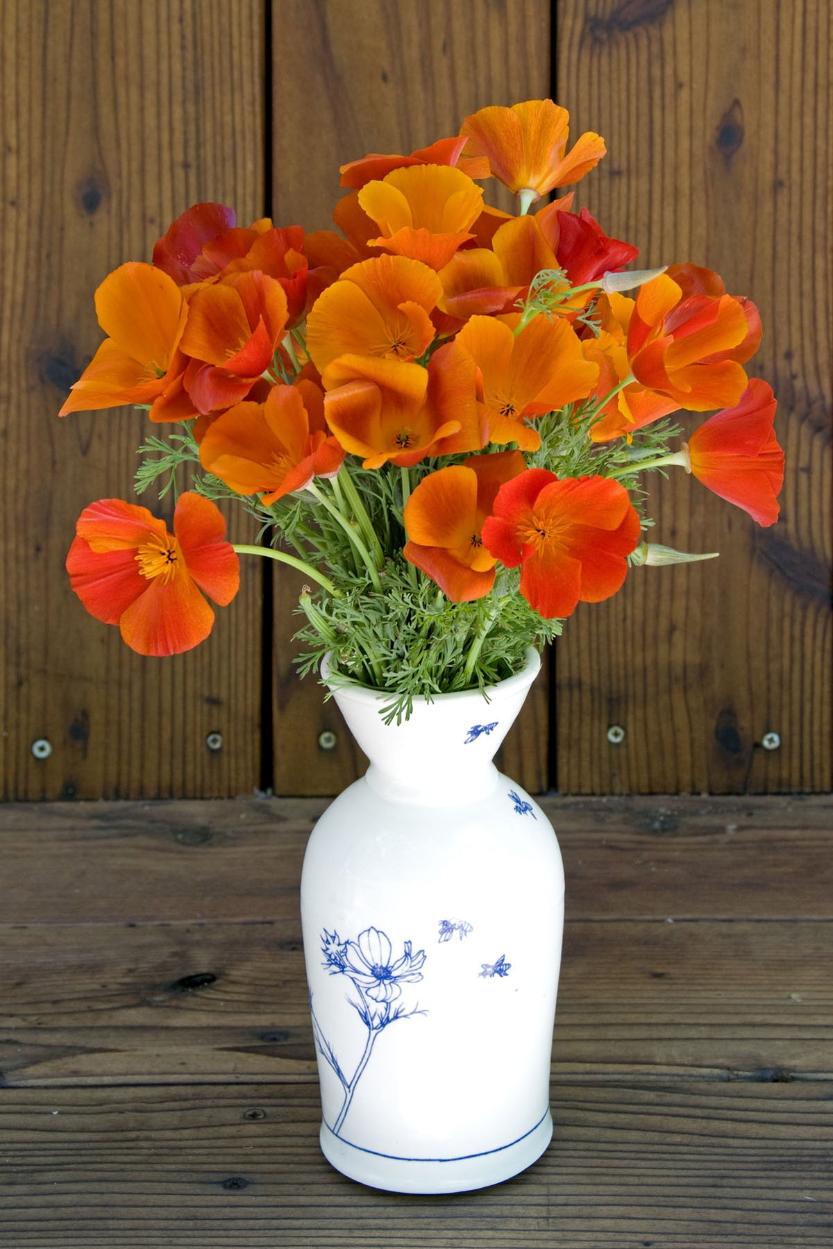 California Poppies - Copper Pot
