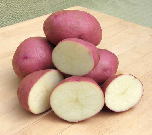 Seed Potatoes - Colorado Rose