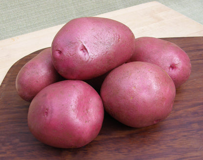 Seed Potatoes - Colorado Rose