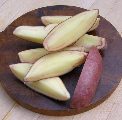 Seed Potatoes - French Fingerling