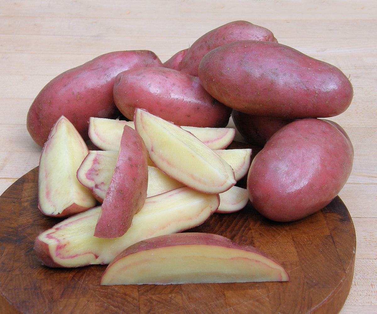 Seed Potatoes - French Fingerling