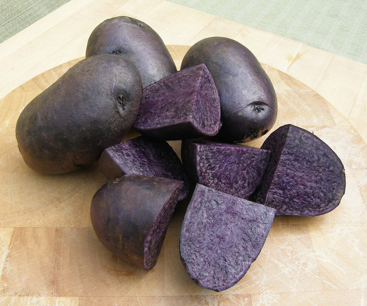 Seed Potatoes - Heirloom Purple Majesty