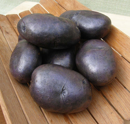 Seed Potatoes - Heirloom Purple Majesty