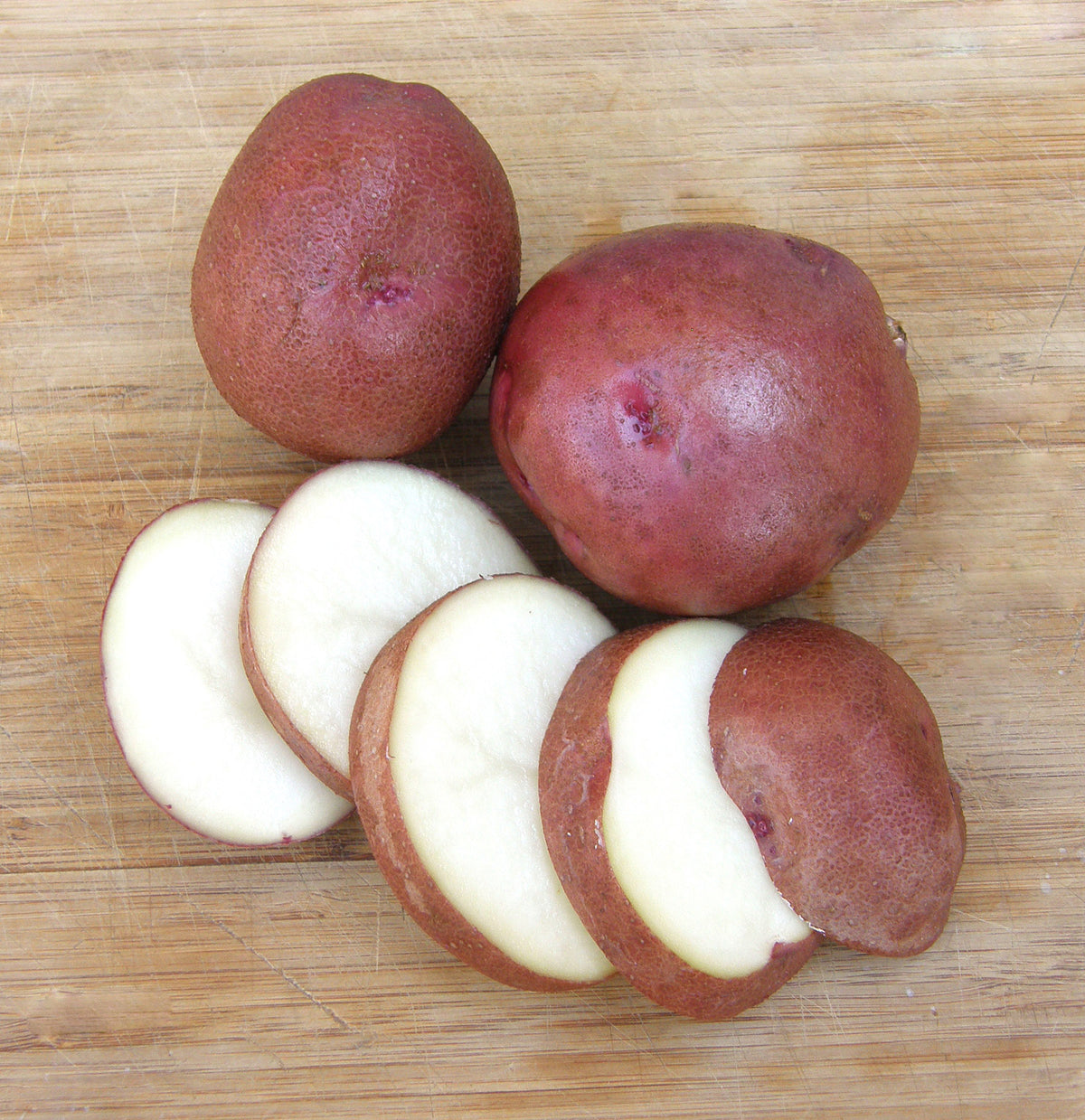 Seed Potatoes - Sangre