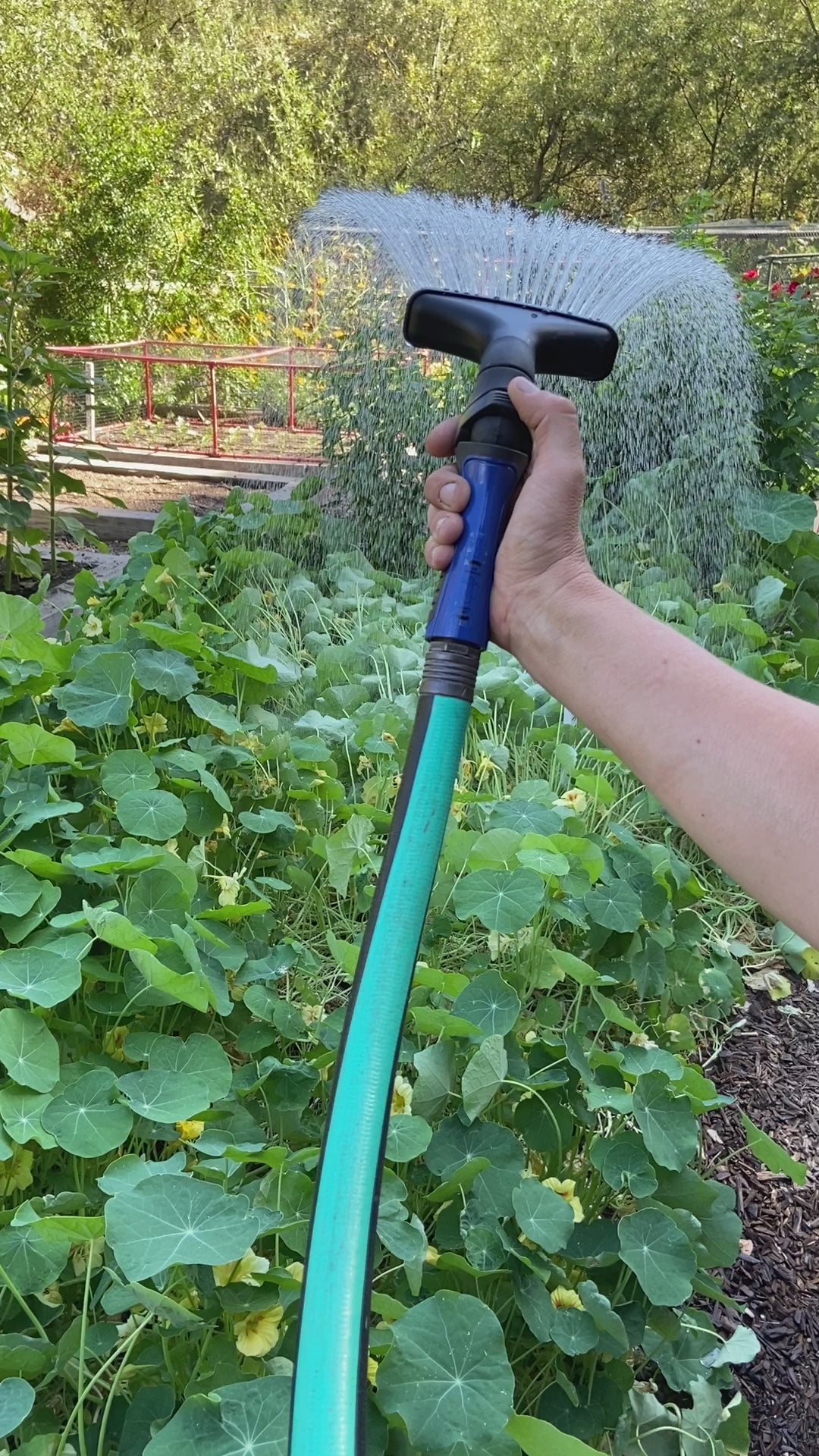 Dramm Nozzle Watering Garden Bed