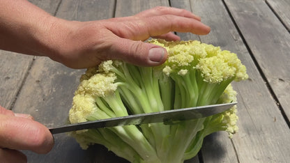 Floret Cauliflower - Fioretto