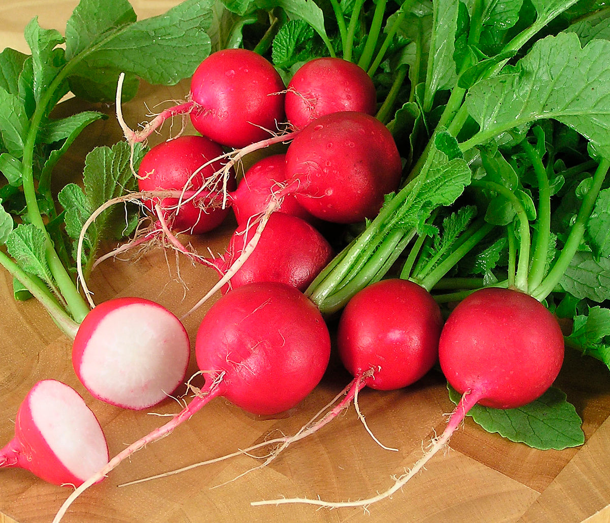 Round Red Radishes - Crimson Crunch