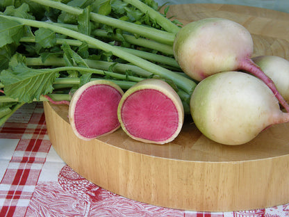Heirloom Radishes - Watermelon