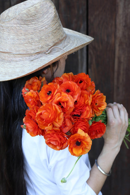 Ranunculus Bulbs - Jumbo Sunset Glow