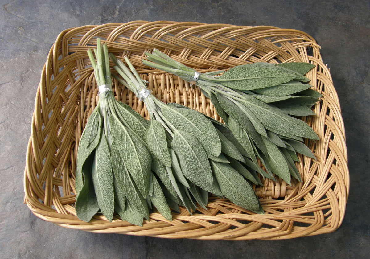 Heirloom Herbs - Italian Aromatic Sage