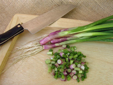 Heirloom Salad Onions - Italian Scallion
