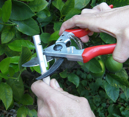 Felco Sharpener