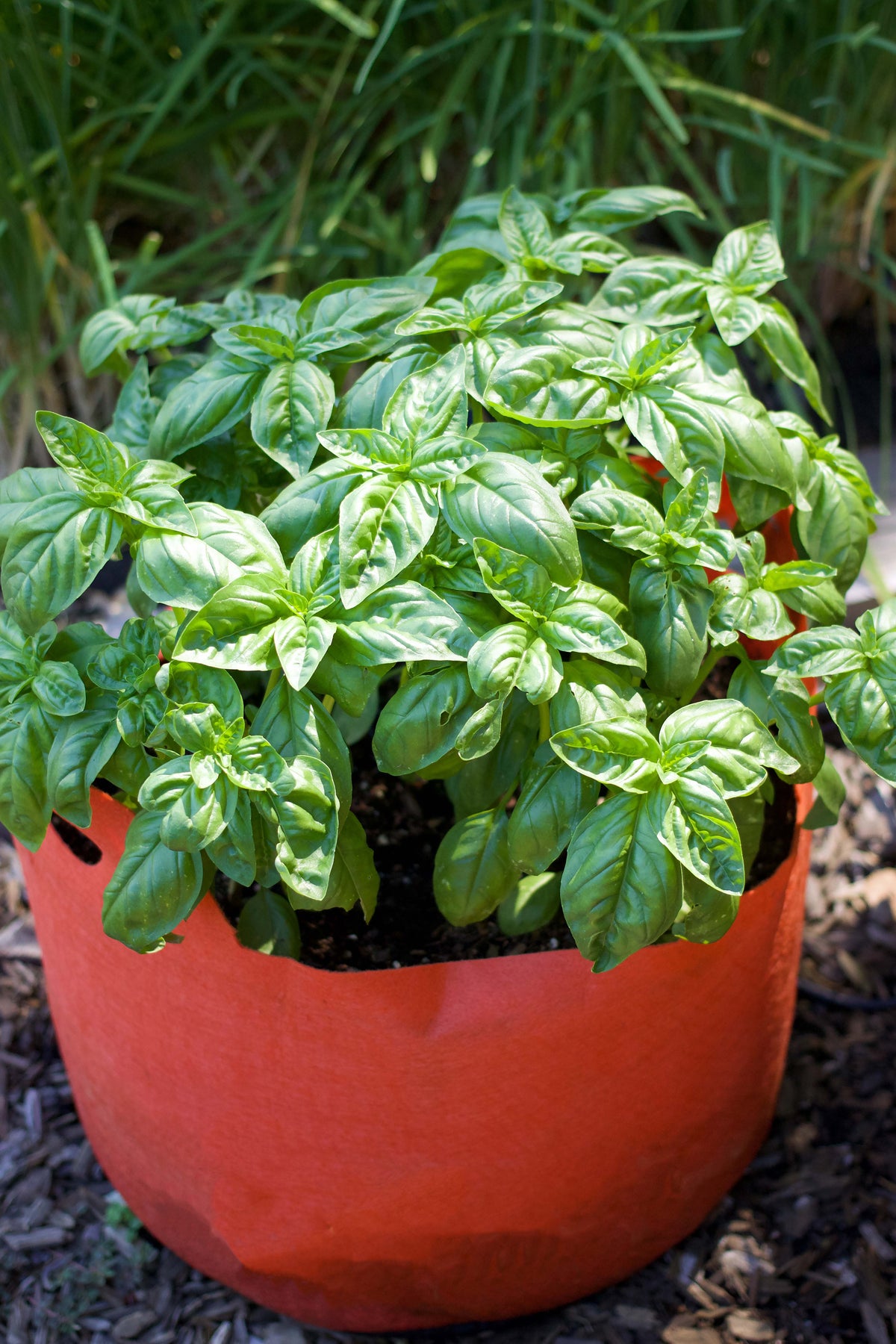 Smart Pots