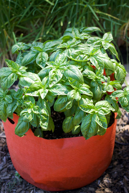 Smart Pots