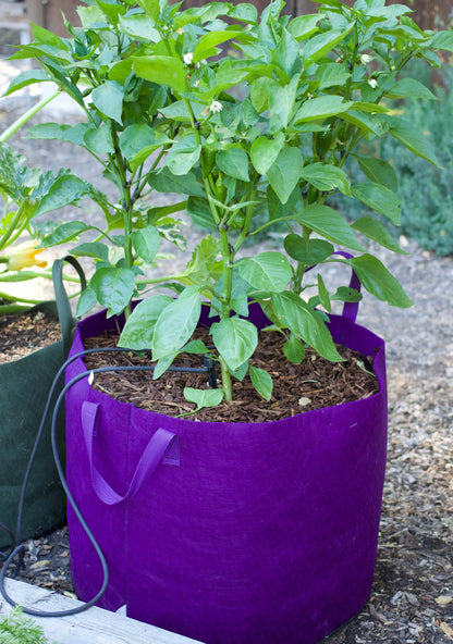 Smart Pots