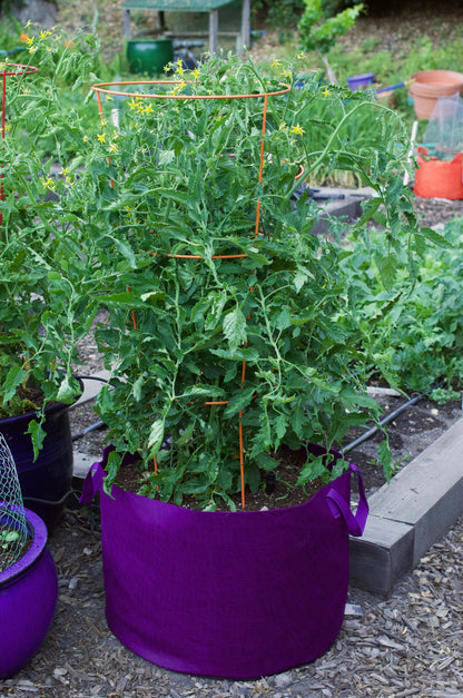 Smart Pots