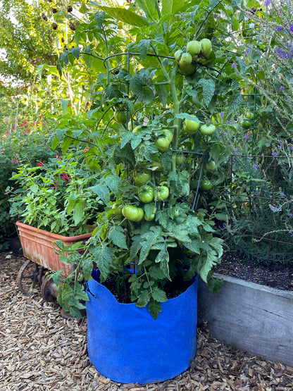 Smart Pots