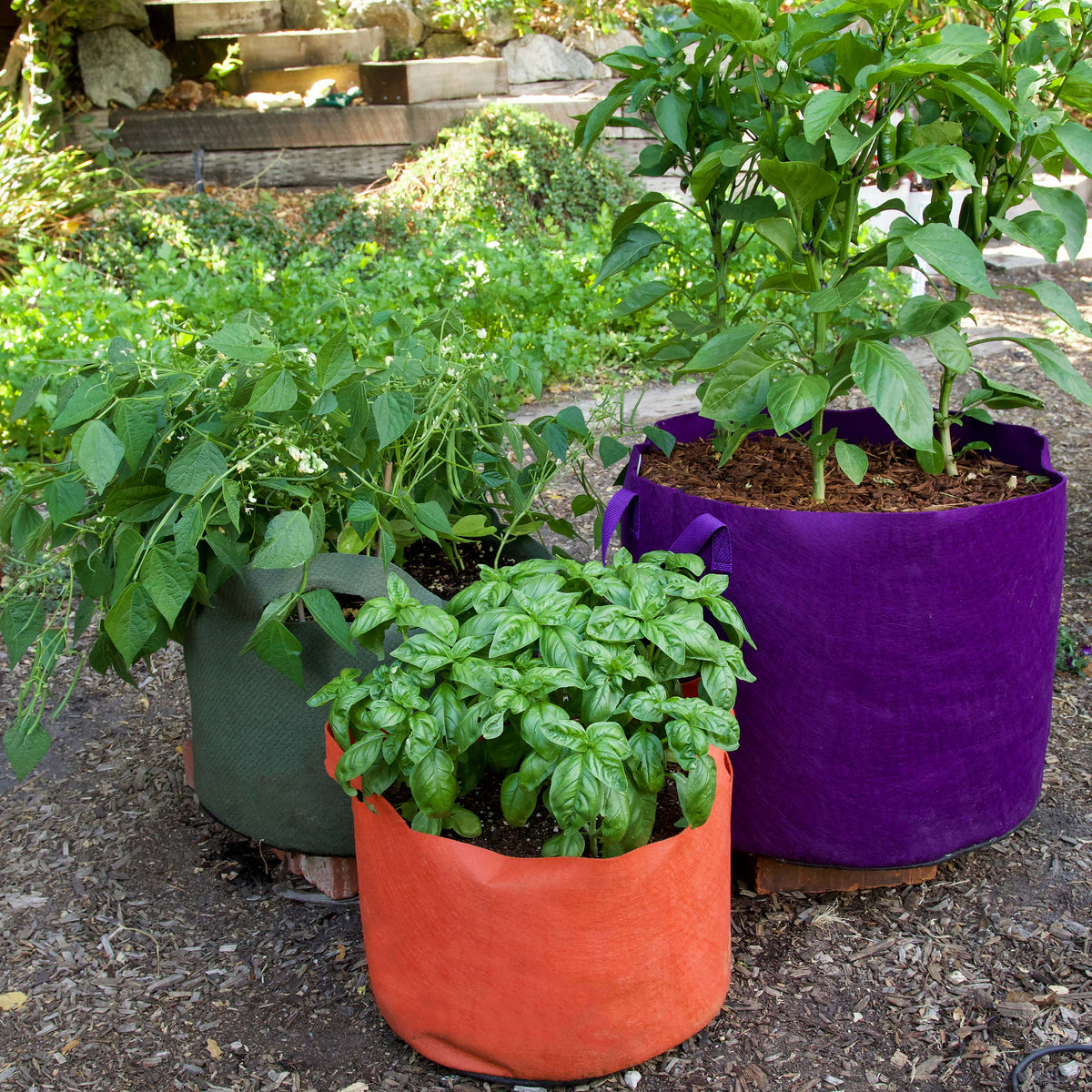 Smart Pots