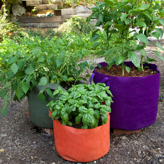 Smart Pots