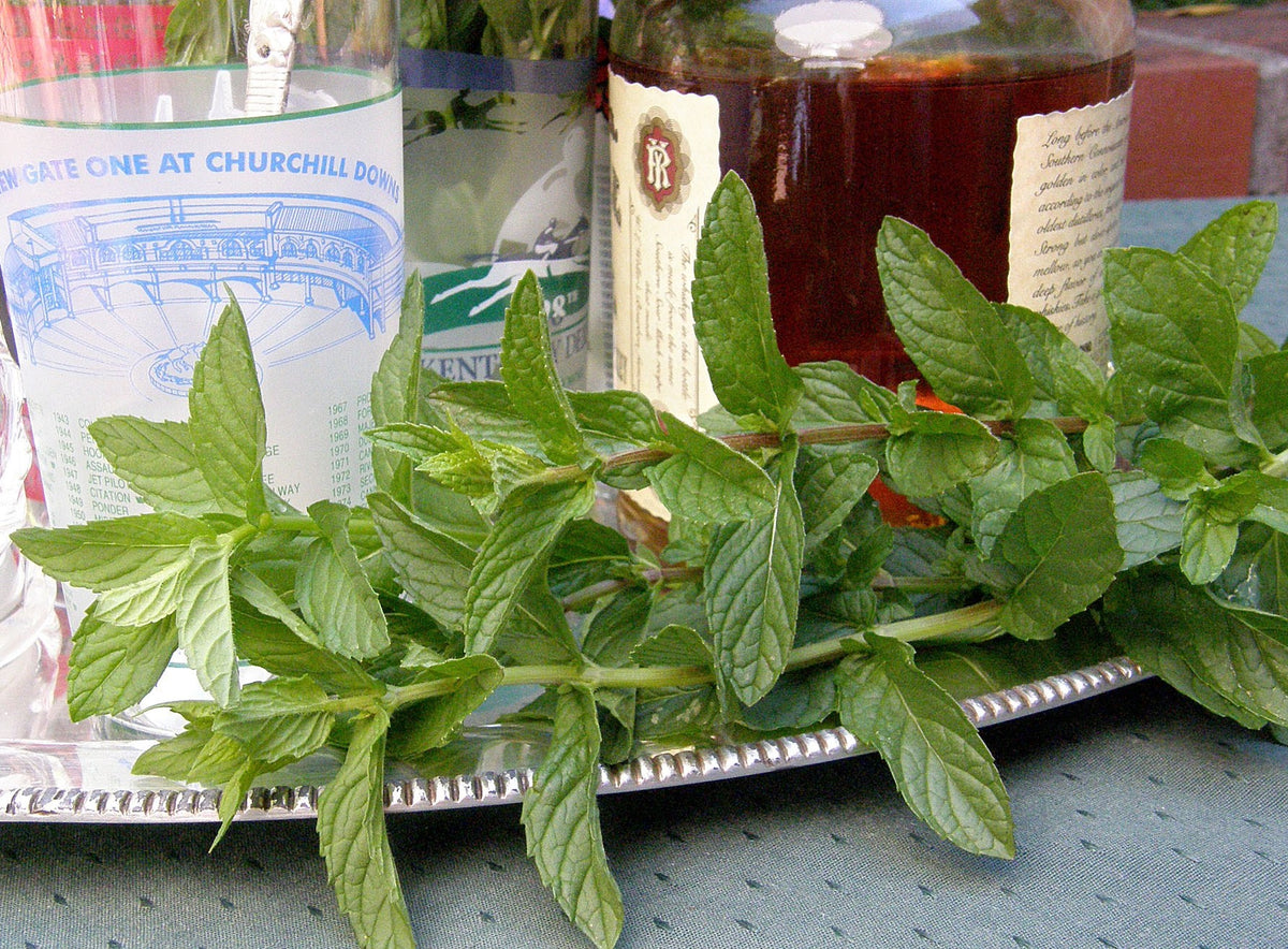 Kitchen Herbs - Heirloom Spearmint